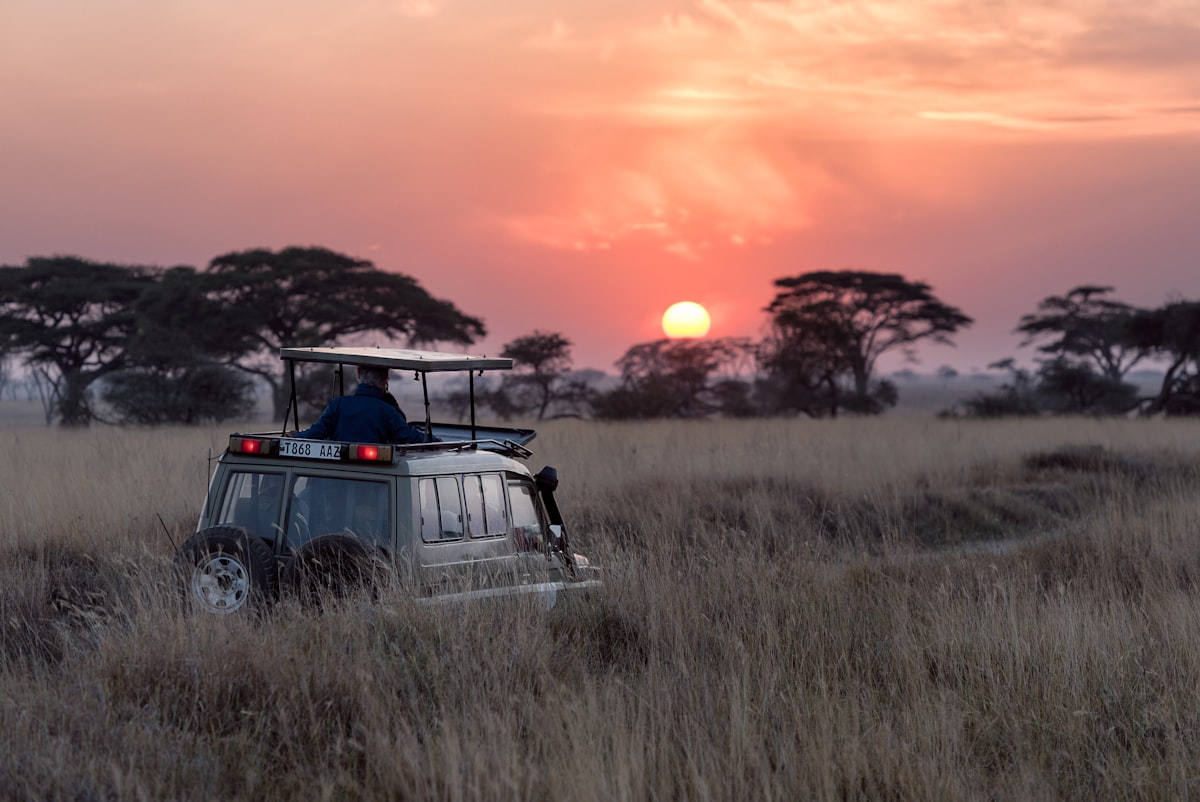 Kajiado–Kimana savanna landscape near Amboseli
