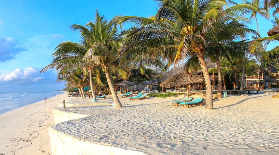 Malindi palm beach training landscape