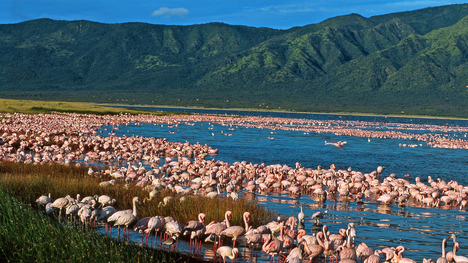 Rift Valley lakes landscape near Naivasha
