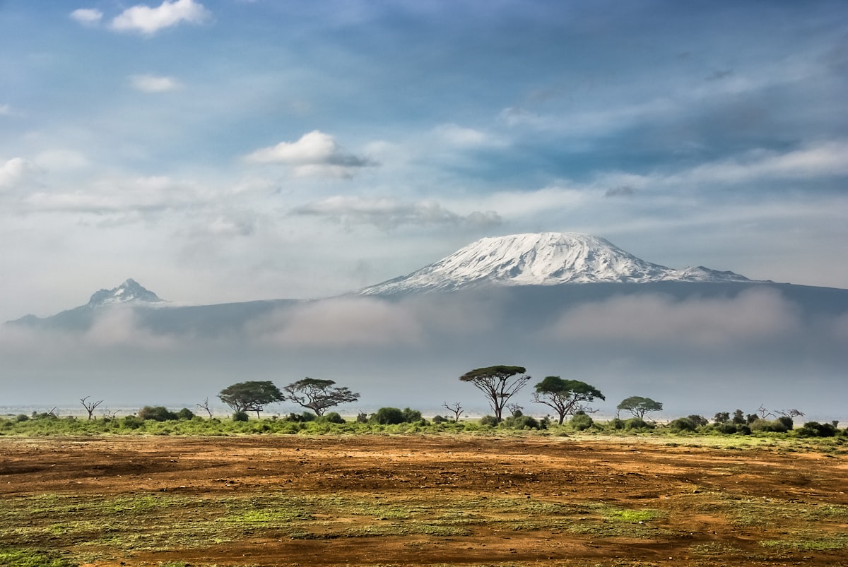 Open Kenyan rangeland used for forage training